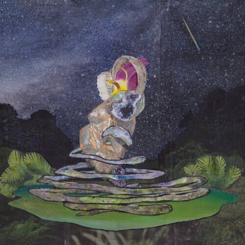 Front. Meteors Could Come Down [LP].