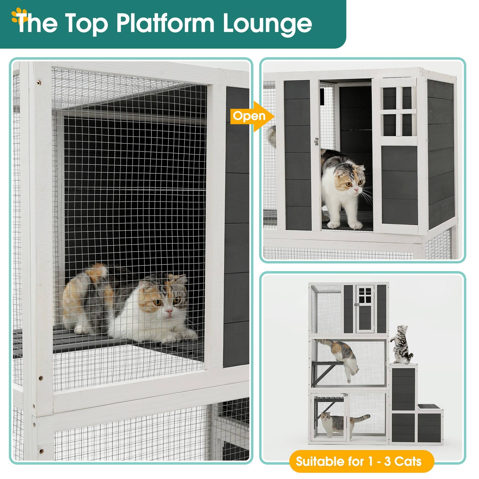 The Top Platform Lounge  
Open  
Suitable for 1 - 3 Cats