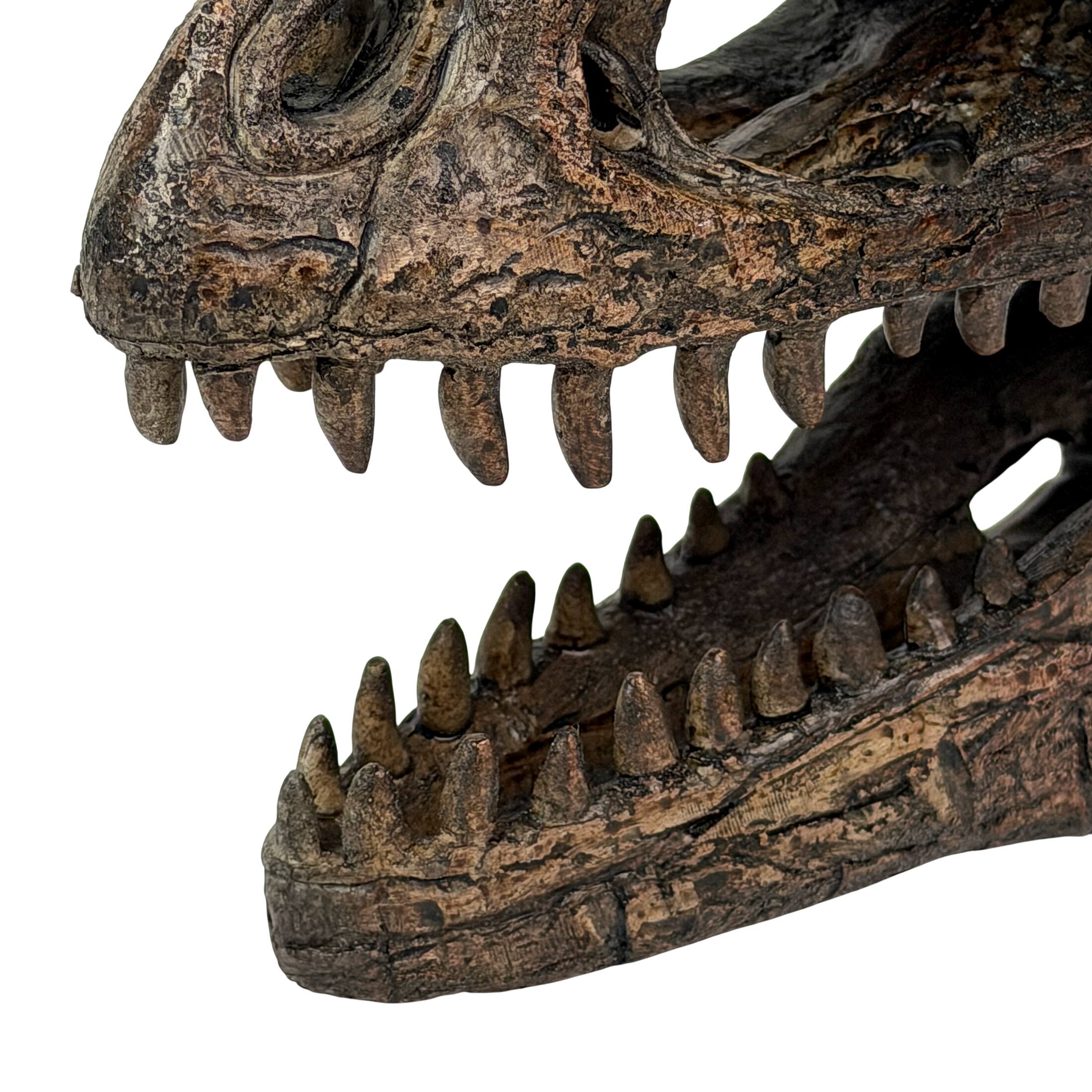 Alt View 8. Things2Die4 - Giganotosaurus Dinosaur Statue Weathered Brown Resin 6.5 Inch Tabletop Decor - Brown.