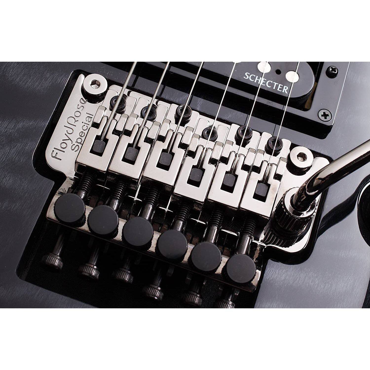SCHECTER x FloydRose Special 00