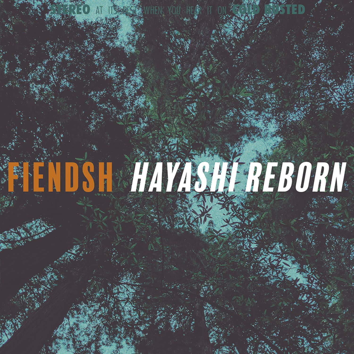 Fiendsh - Hayashi Reborn  - VINYL LP