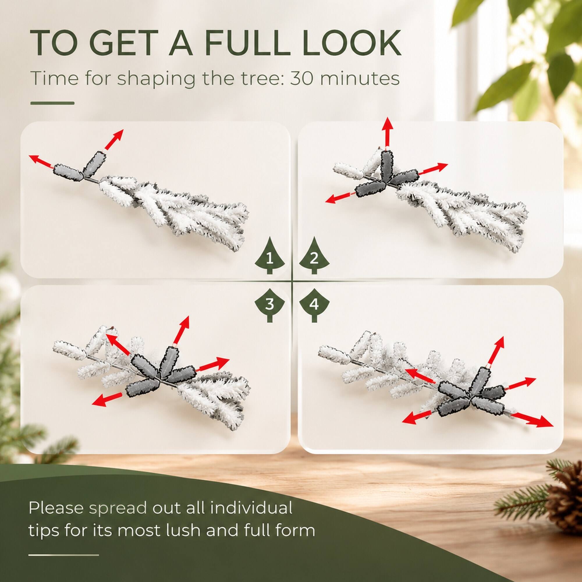 TO GET A FULL LOOK  
Time for shaping the tree: 30 minutes

1  
2  
3  
4

Please spread out all individual tips for its most lush and full form
