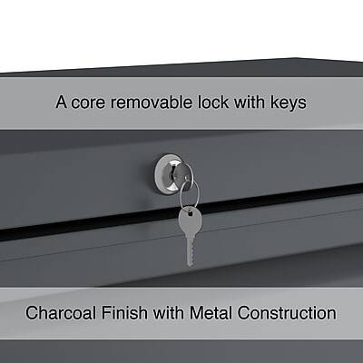 A core removable lock with keys  
Charcoal Finish with Metal Construction