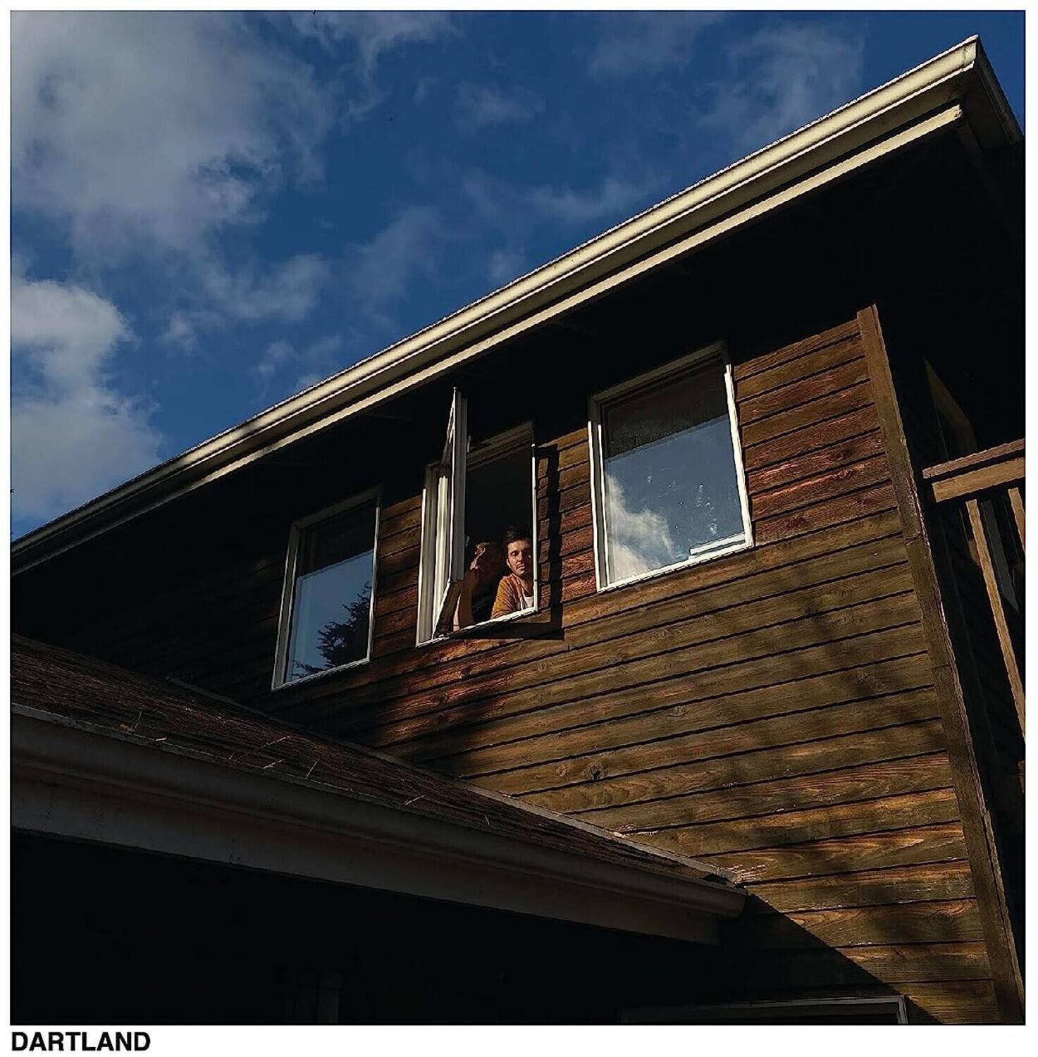 Front. Worst Party Ever - Dartland   - VINYL LP .