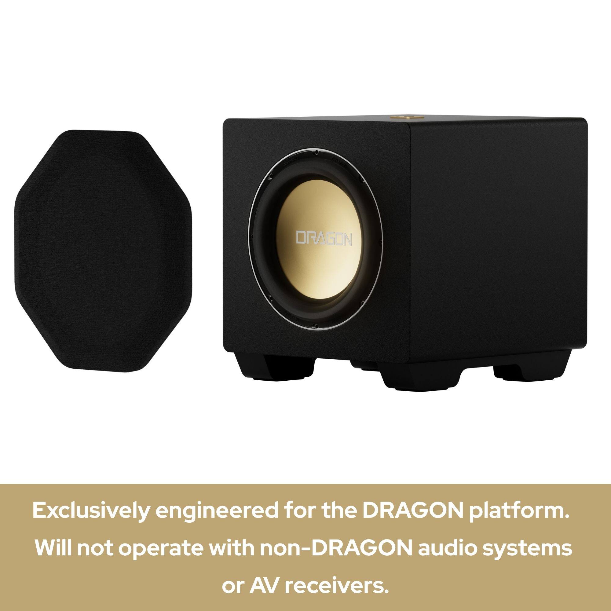 Exclusively engineered for the DRAGON platform. Will not operate with non-DRAGON audio systems or AV receivers.