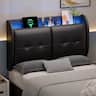 Pinmoco - LED Upholstered Headboard with Storage Shelves, USB Ports - Black