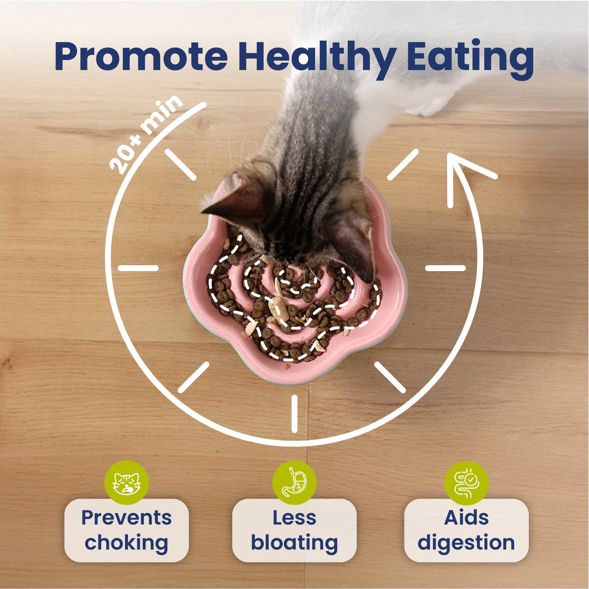 Promote Healthy Eating  
20+ min  
Prevents choking  
Less bloating  
Aids digestion