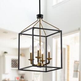 Parrot Uncle - Modern 4-Light Open-Frame Chandelier - Black