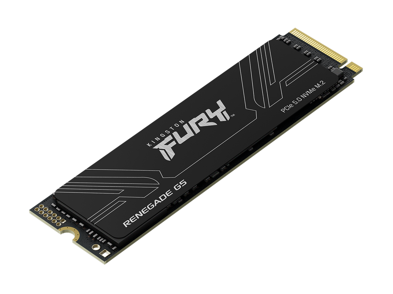 Kingston Fury Renegade G5  
PCIe 5.0 NVMe M.2