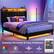 Instantly Romantic & Cozy Ambiance
8 Colors
Adjustable Brightness
6 Lighting Modes
Two Speed
RF Remote Controller