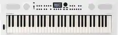 MEO - Concert Piano R011
BUTLI - Roland GO:KEYS 5