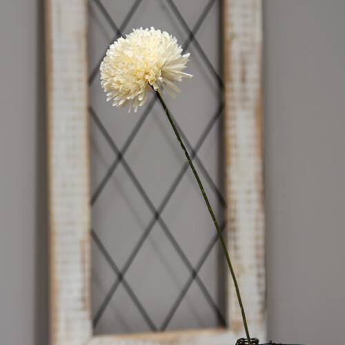 Angle. BreeBe - *Cream Pompom Spray - Cream.