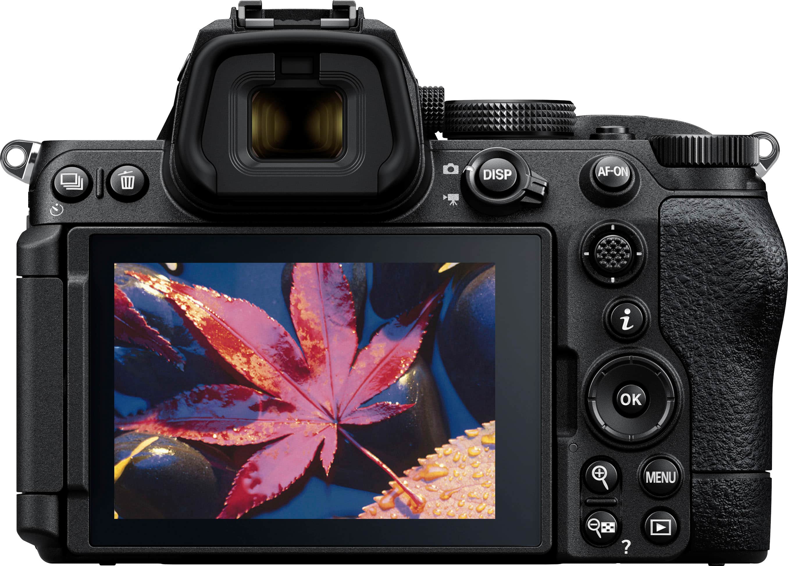 The text on the image reads "DISP AF-ON Z OK + MENU."