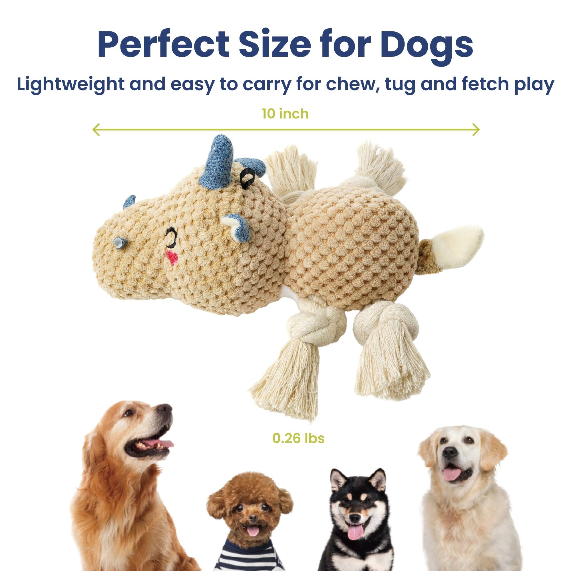 Perfect Size for Dogs  
Lightweight and easy to carry for chew, tug and fetch play  
10 inch  
0.26 lbs