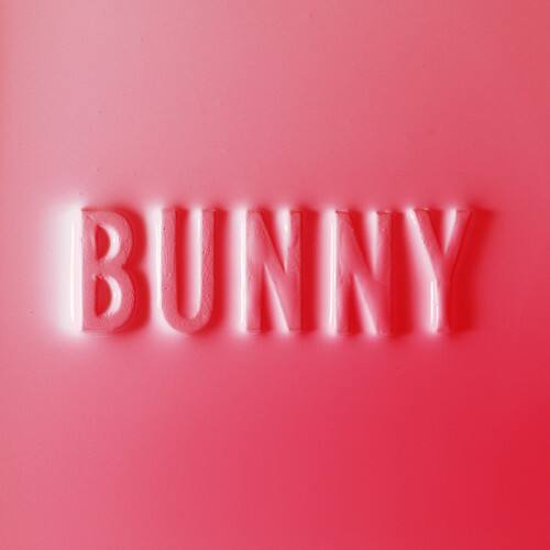 Front. Matthew Dear - Bunny   - VINYL LP.