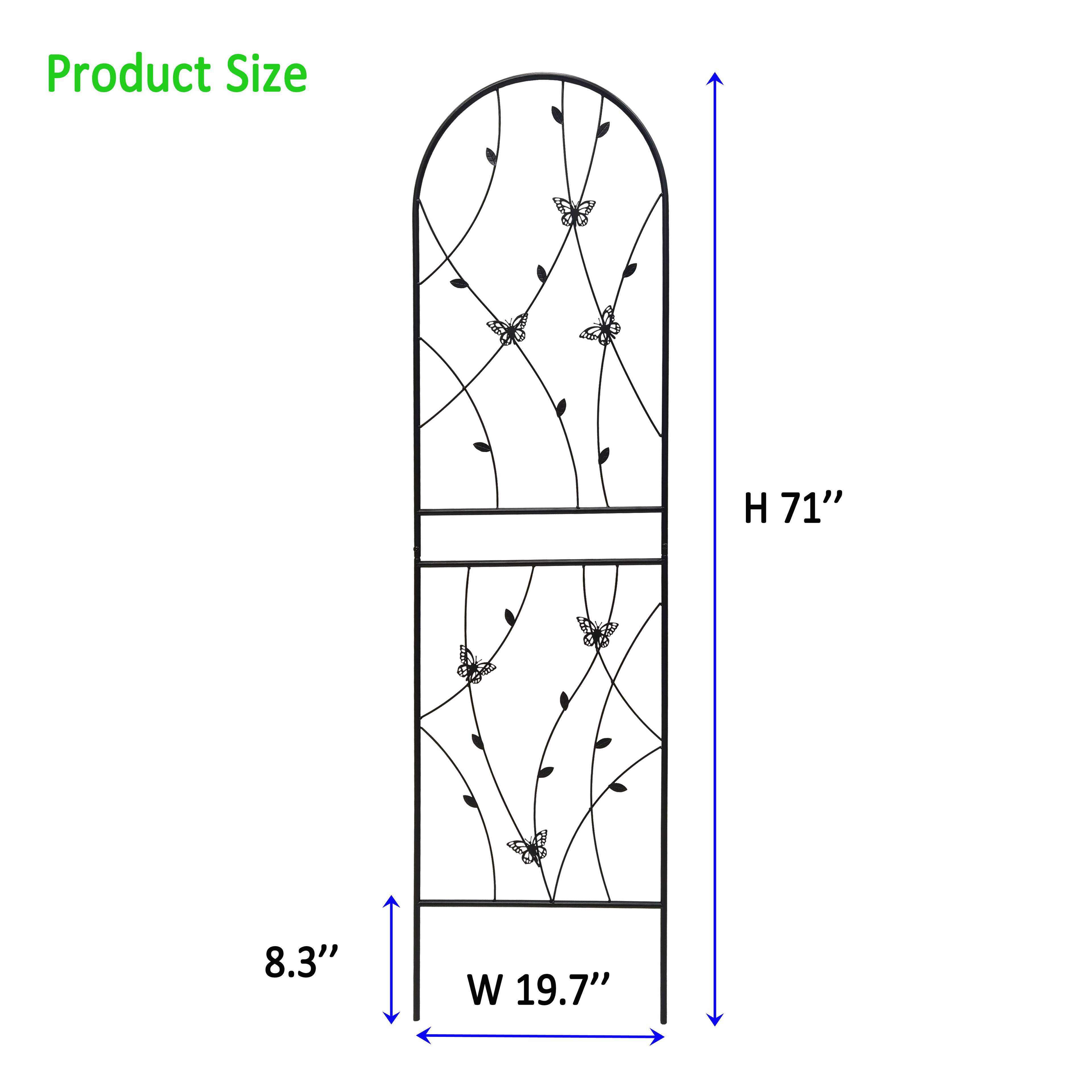 Product Size  
H 71"  
W 19.7"  
8.3"