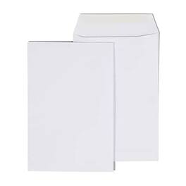 Staples - Economy Gummed Catalog Envelopes, 6" x 9", 250/Box - White