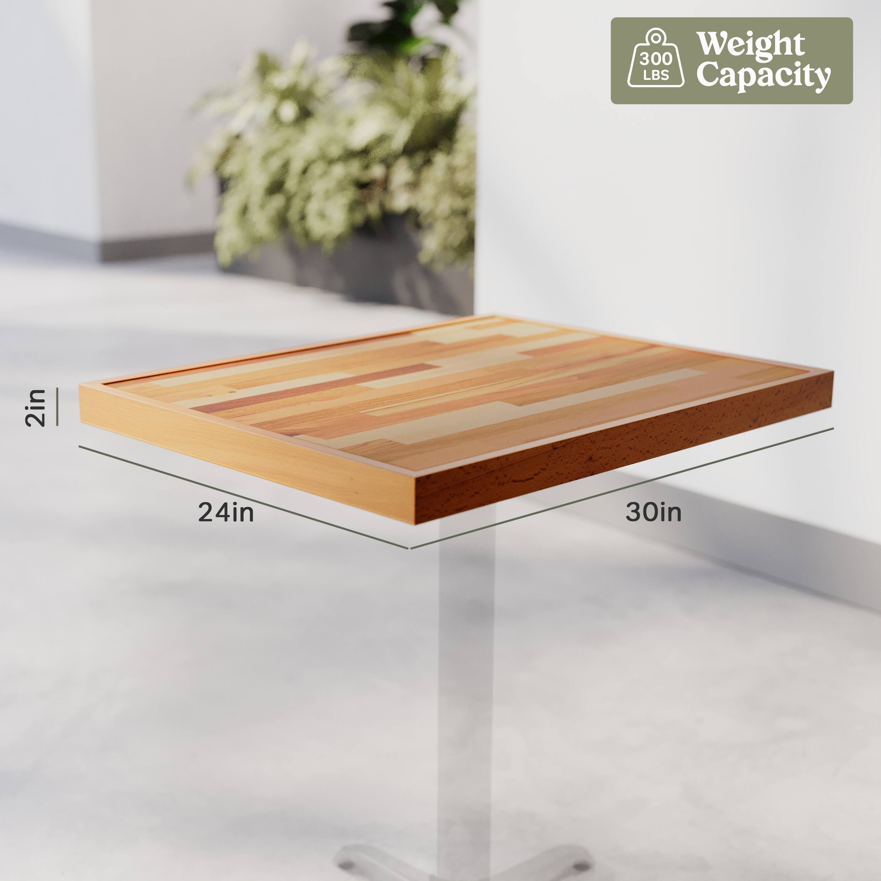 300 LBS Weight Capacity  
2in  
24in  
30in