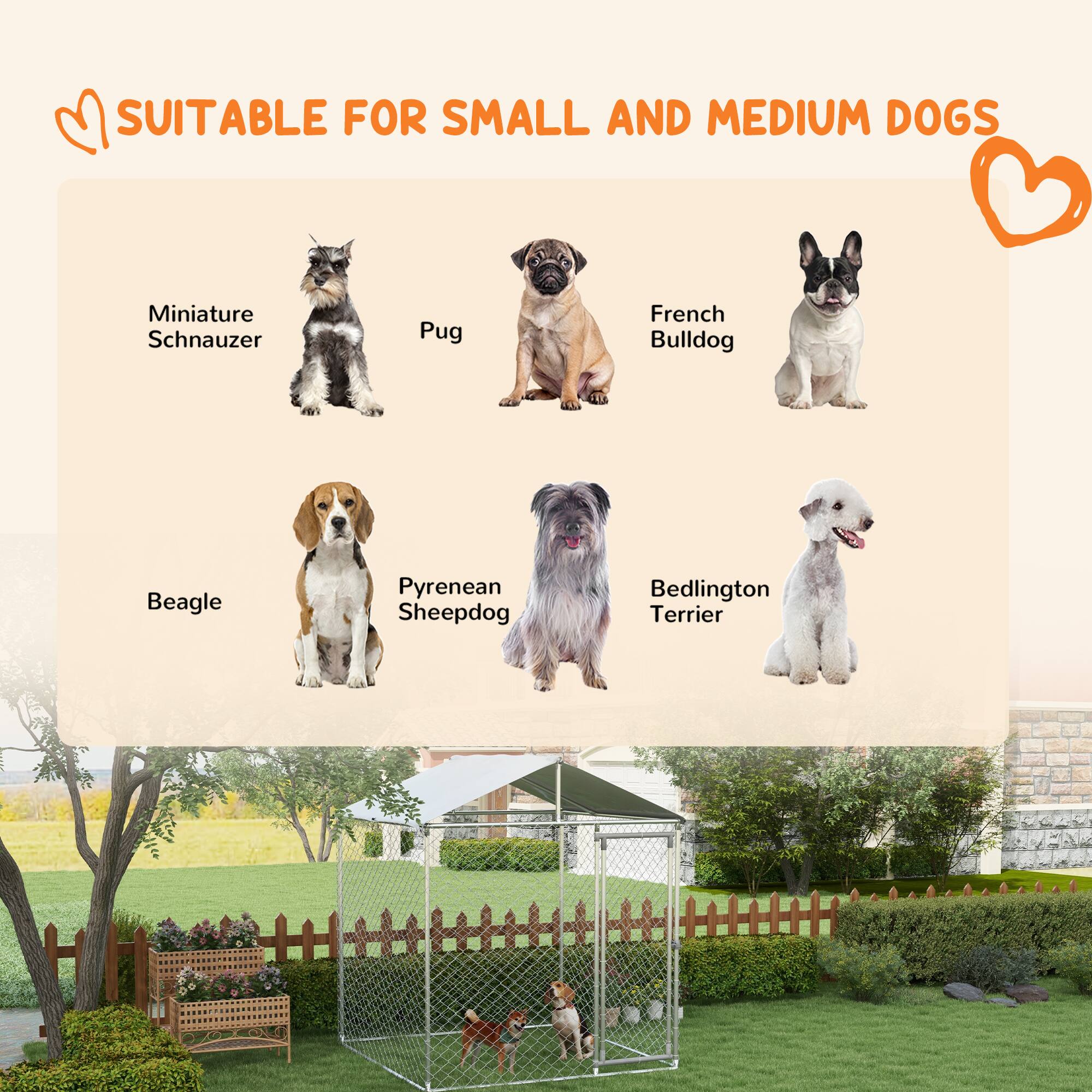 SUITABLE FOR SMALL AND MEDIUM DOGS

- Miniature Schnauzer
- Pug
- French Bulldog
- Beagle
- Pyrenean Sheepdog
- Bedlington Terrier