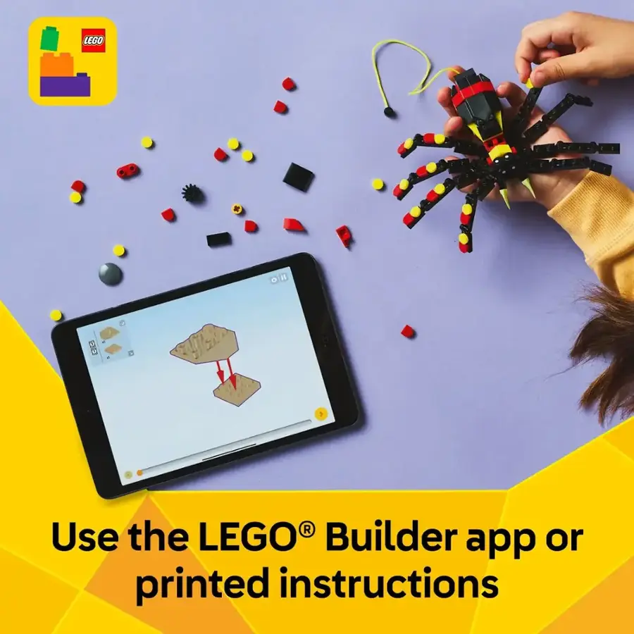 LEGO Builder app or printed instructions
