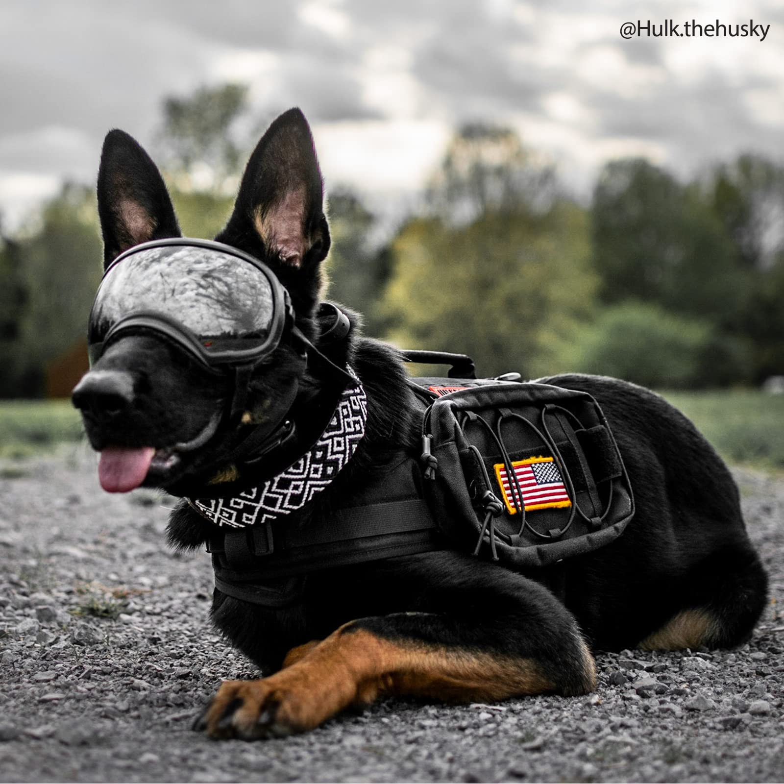 Left. Live At Space - Dog Backpack for Medium Large Dogs Nylon Pet with Side Pockets Hiking Walking Running Black Large.