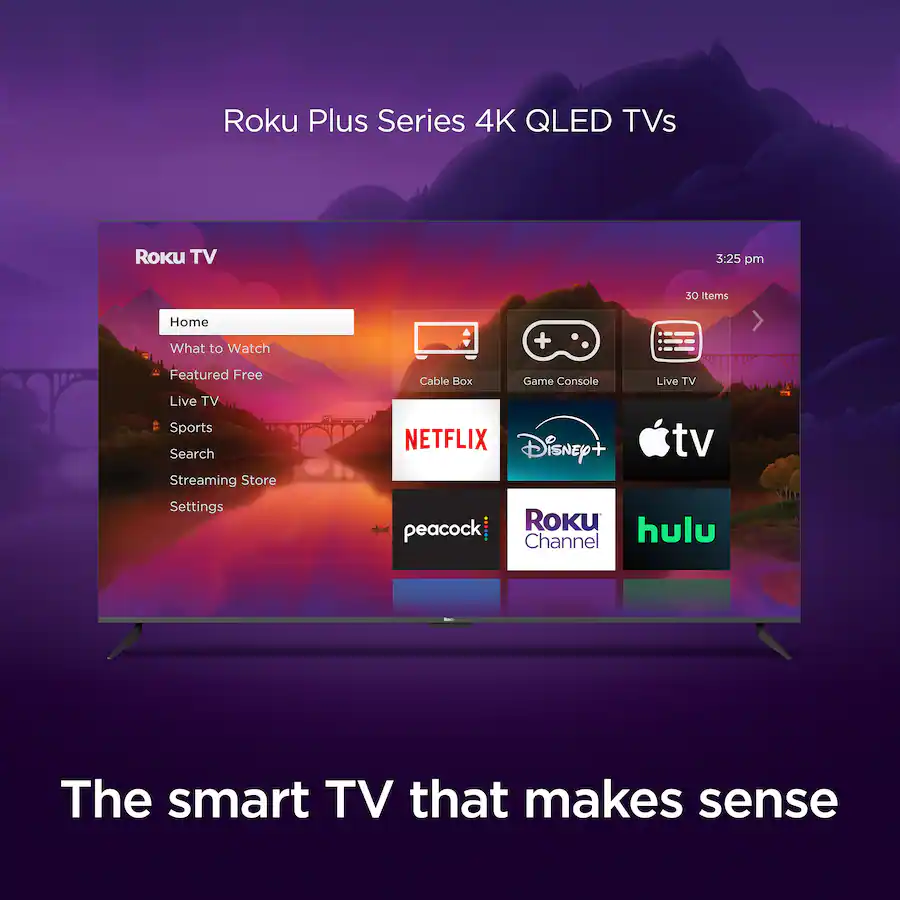 Roku 65
