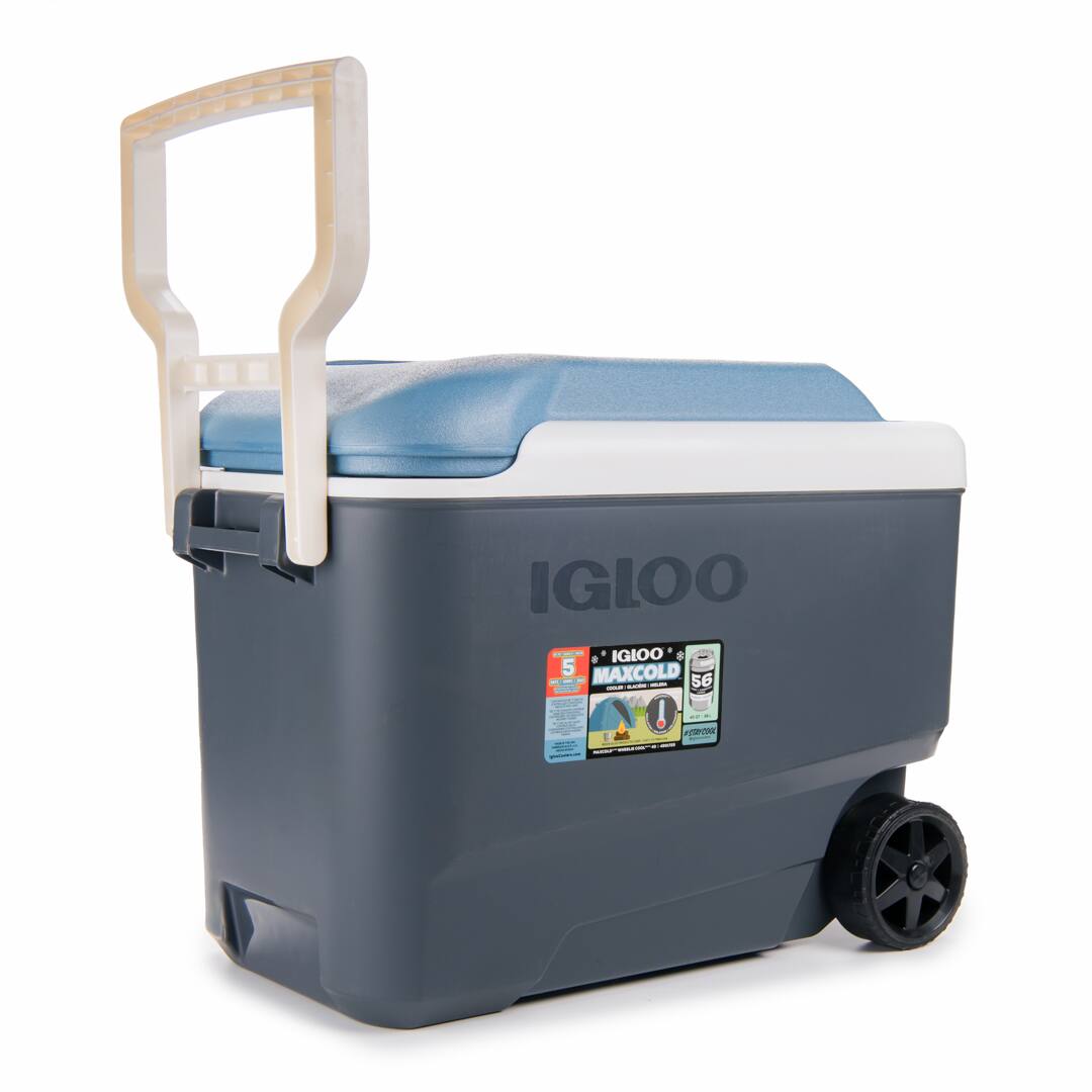 IGLOO 5 MAXCOLD 56