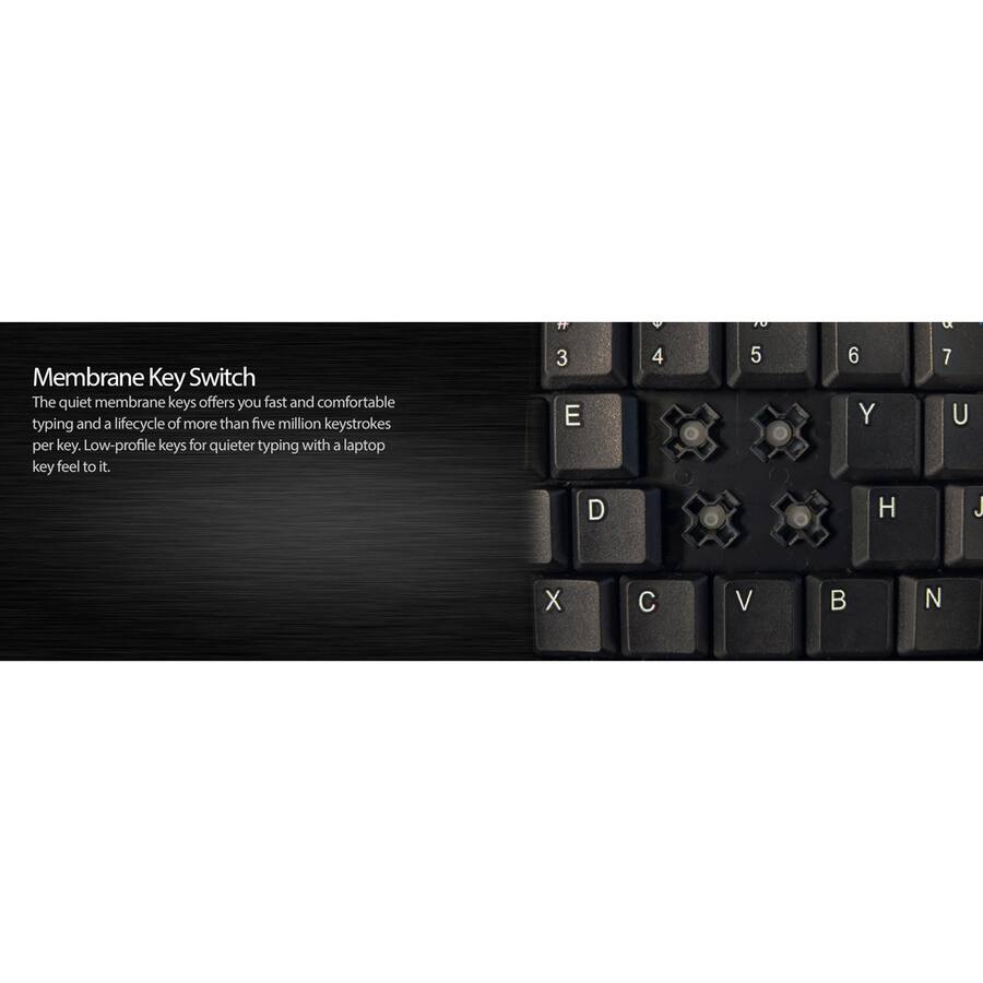 Membrane Key Switch

The quiet membrane keys offer you fast and comfortable typing and a lifecycle of more than five million keystrokes per key. Low-profile keys for quieter typing with a laptop key feel to it.

3 4 5 6 7
E D H J
U
X C V B N