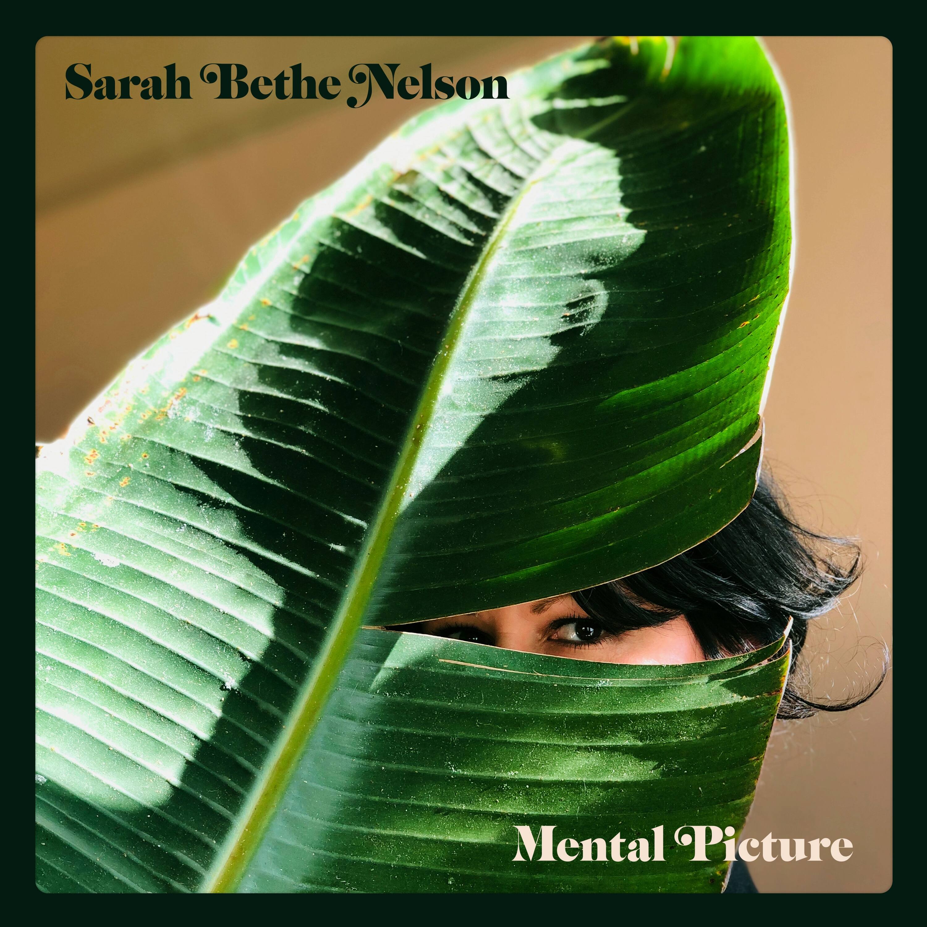 Front. Mental Picture [LP].