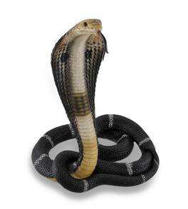Veronese Design - Coiled and Rearing King Cobra Sculptured Statue - Multicolored
