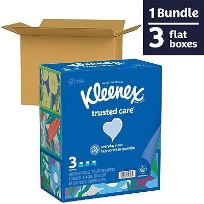 1 Bundle  
3 flat boxes  

Kleenex  
trusted care  
everyday clean  
la propreté au quotidien  

3 Boîtes de mouchoirs  
12052E  
81Xe  
430 Tissus