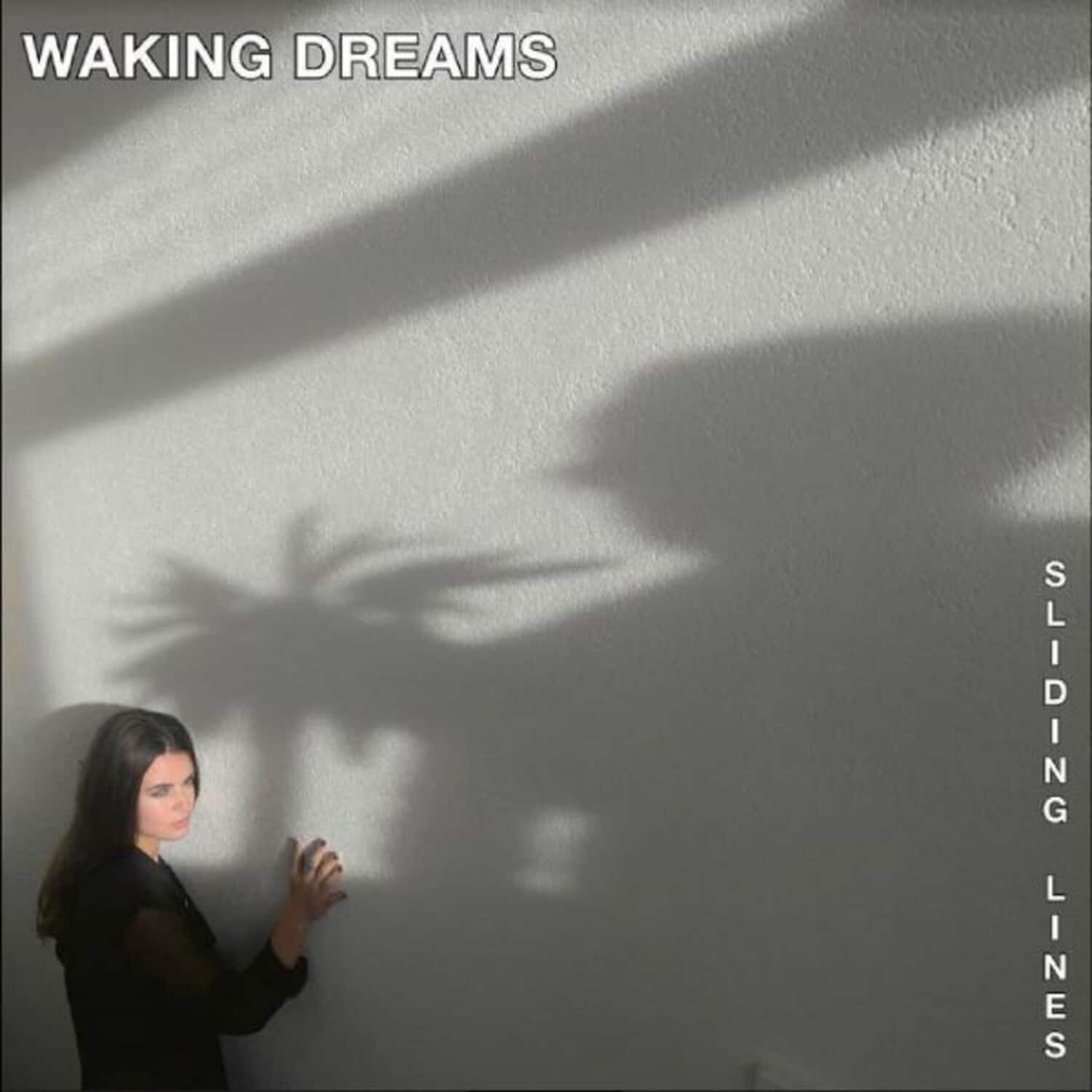 Waking Dreams - Sliding Lines   - VINYL LP price history on PriceWatchPro