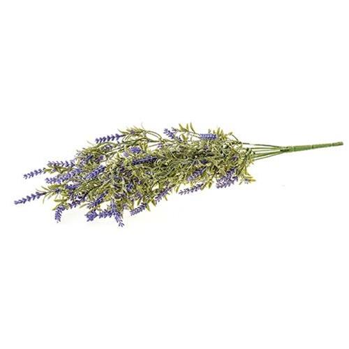 Front. BreeBe - English Lavender Bush 22" - Lavender.