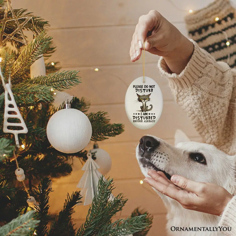 PLEASE DO NOT DISTURB  
*** I AM *** DISTURBED ENOUGH ALREADY  
ORNAMENTALLY YOU