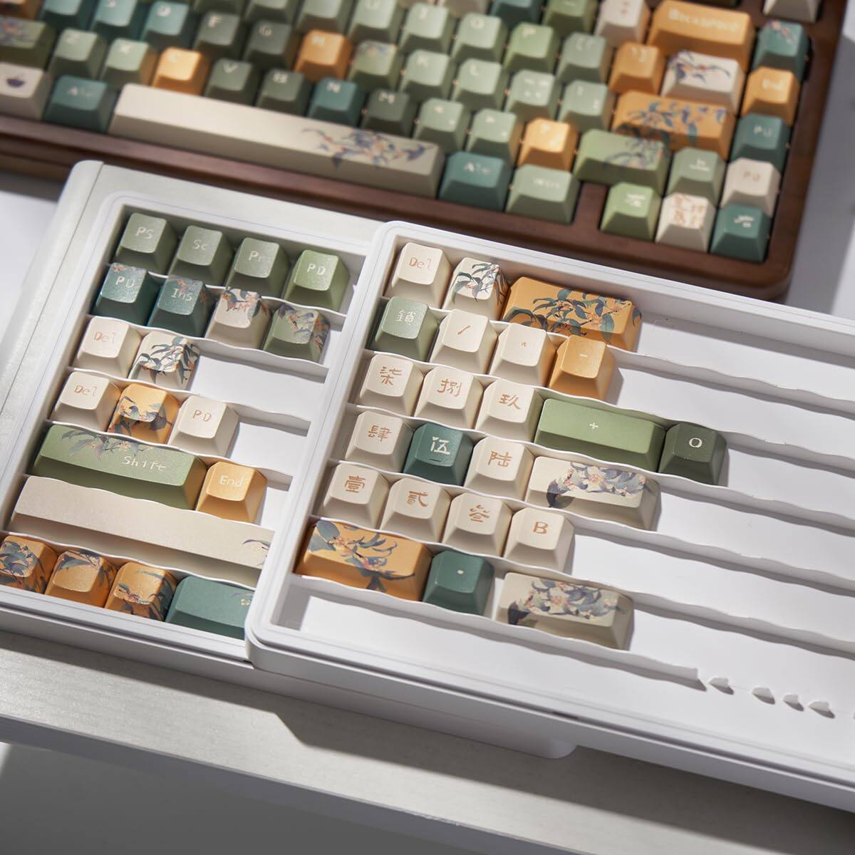 K F V G F L M 1 K a PS Sc Pr PO Ins Del Del PO Shift End PD Del 1 / i FC B

PS Sc Pr PD De-1 De-2 Shift End PD B

De-1 De-2 Shift End PD