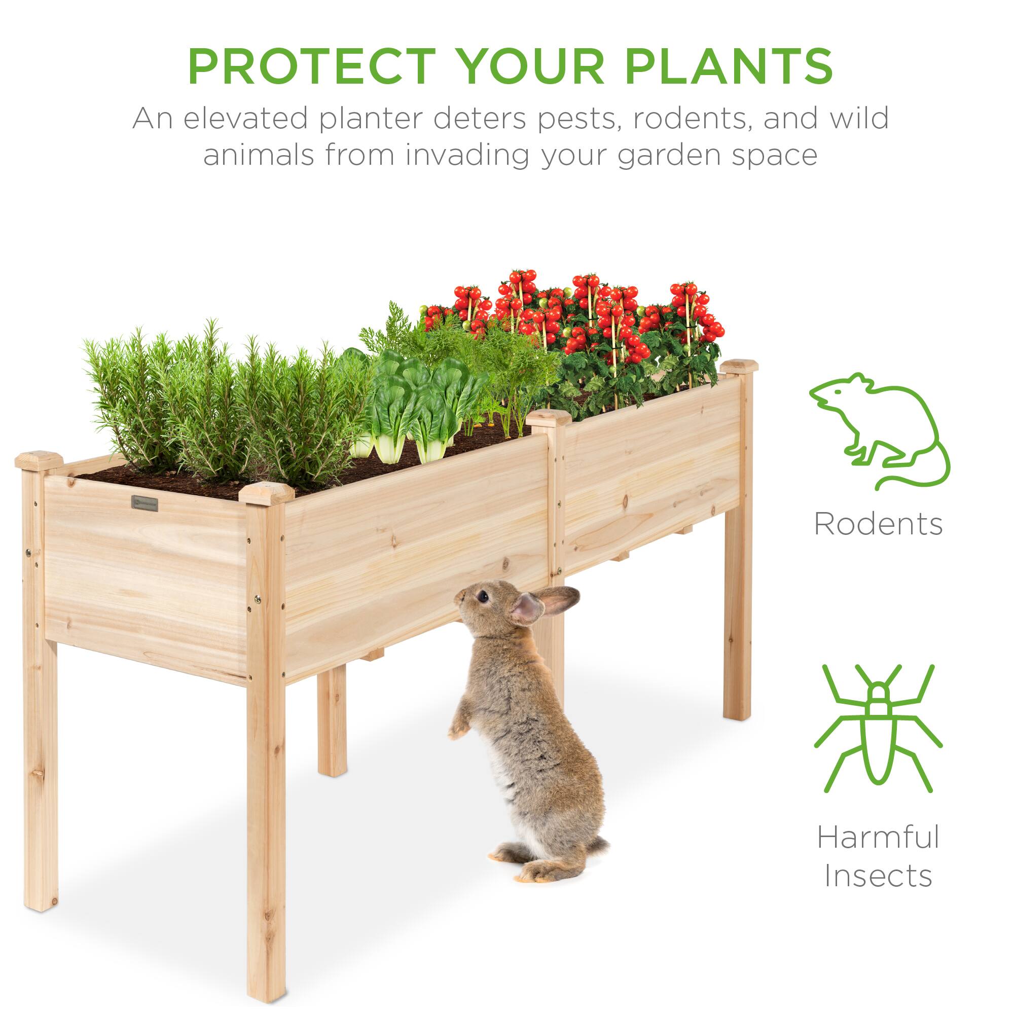 PROTECT YOUR PLANTS

An elevated planter deters pests, rodents, and wild animals from invading your garden space

Rodents

Harmful Insects