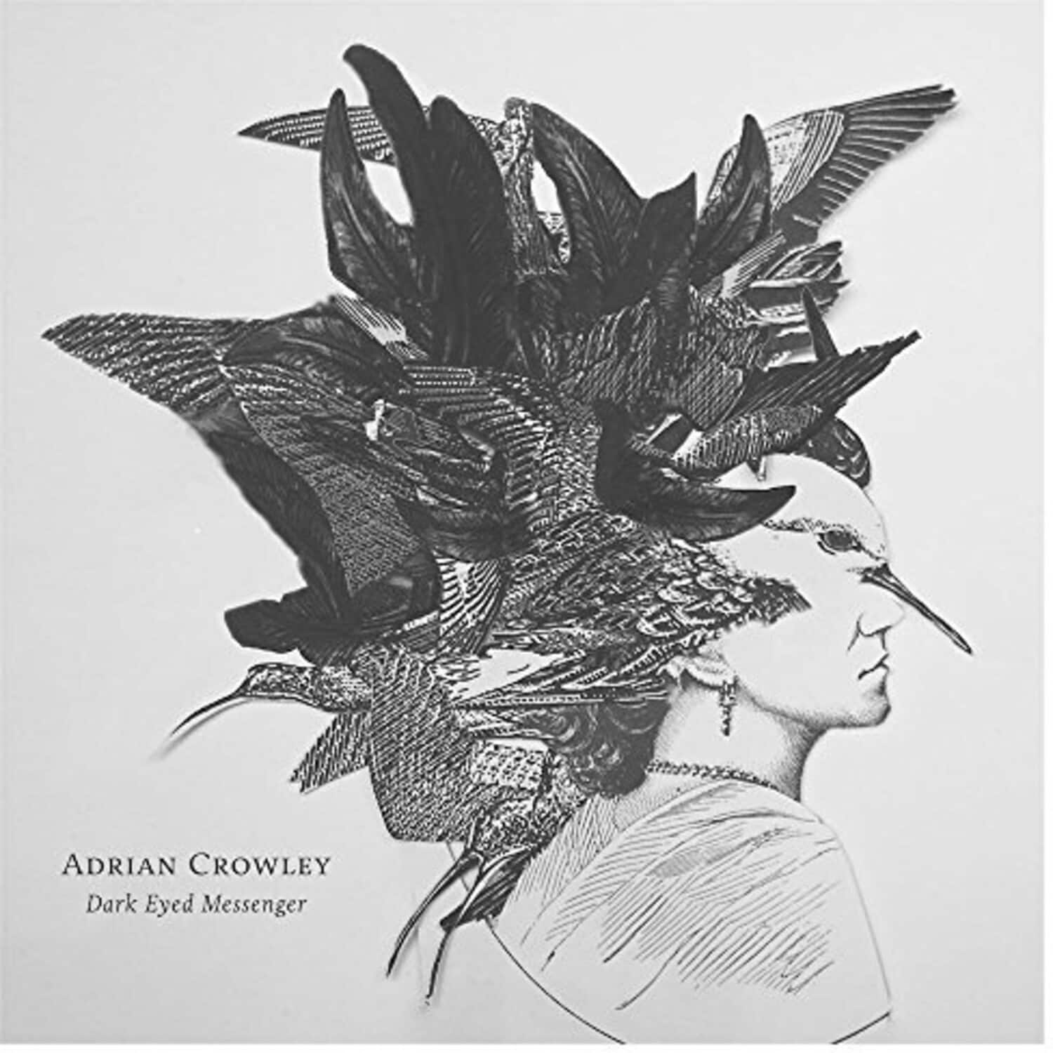 Adrian Crowley - Dark Eyed Messenger   - COMPACT DISCS [CD] price history on PriceWatchPro