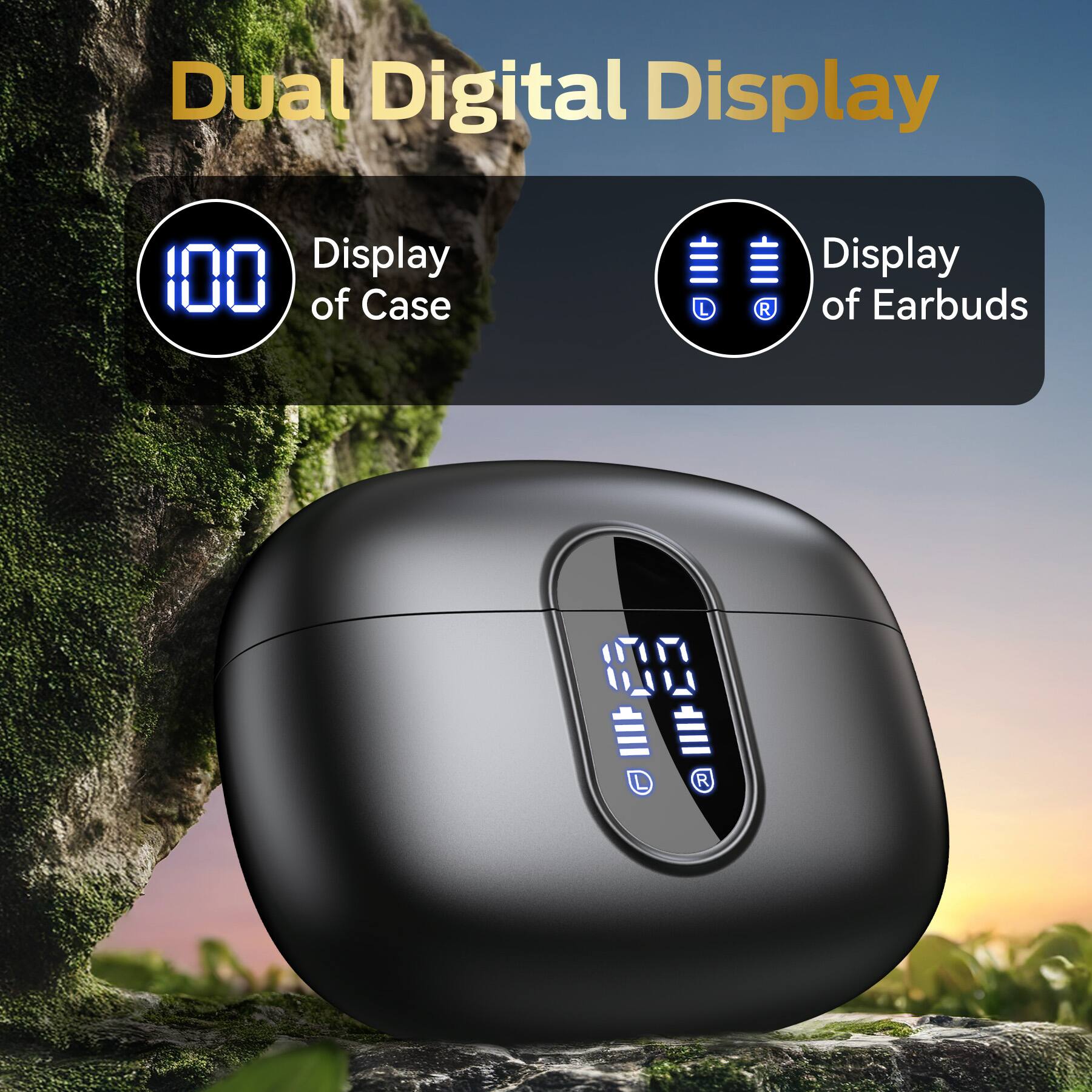 Dual Digital Display

- Display of Case
- Display of Earbuds (L R)