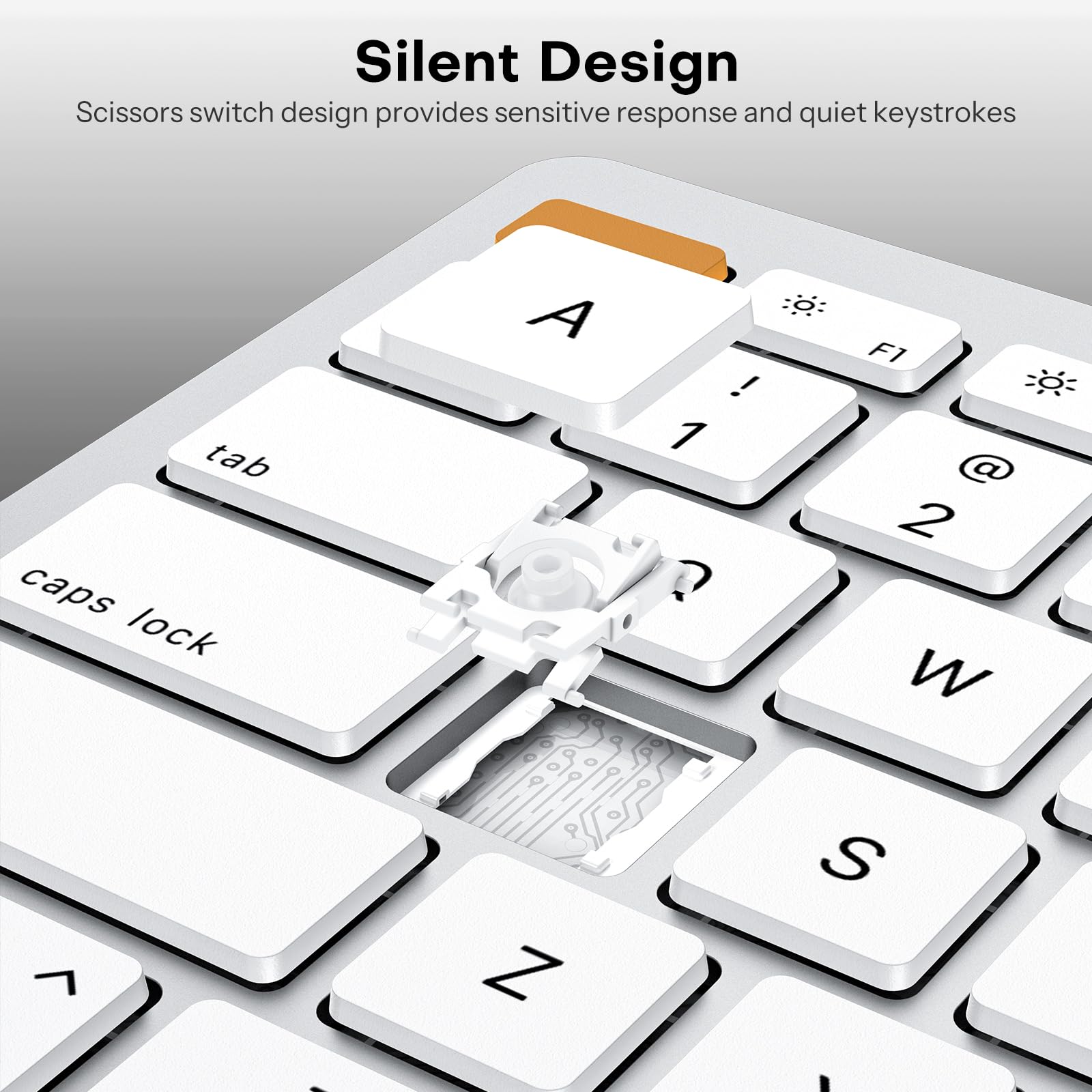 Silent Design  
Scissors switch design provides sensitive response and quiet keystrokes  

tab caps lock A ! 1 F1 @ 2 W S