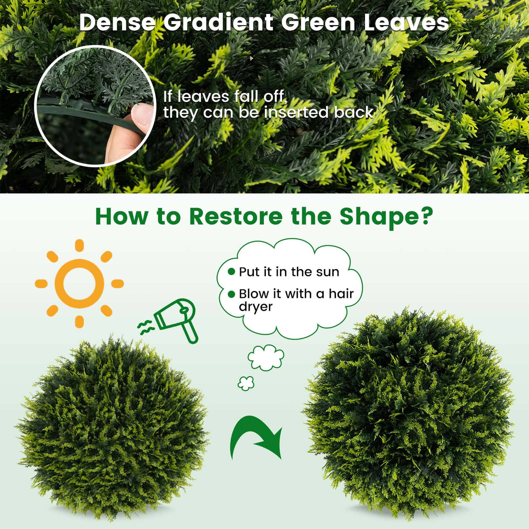 Dense Gradient Green Leaves  
If leaves fall off, they can be inserted back  

How to Restore the Shape?  
- Put it in the sun  
- Blow it with a hair dryer