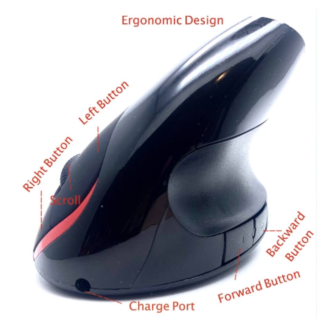 Ergonomic Design

- Left Button
- Right Button
- Scroll
- Backward Button
- Forward Button
- Charge Port