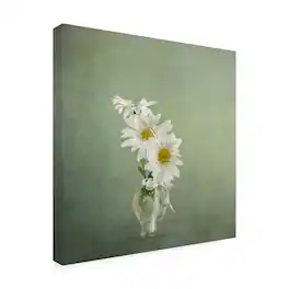 Trademark Fine Art - Katarina Holmstrom 3 White Daisies Canvas Art - 18 x 18 Inches - 18x18 - Multicolor