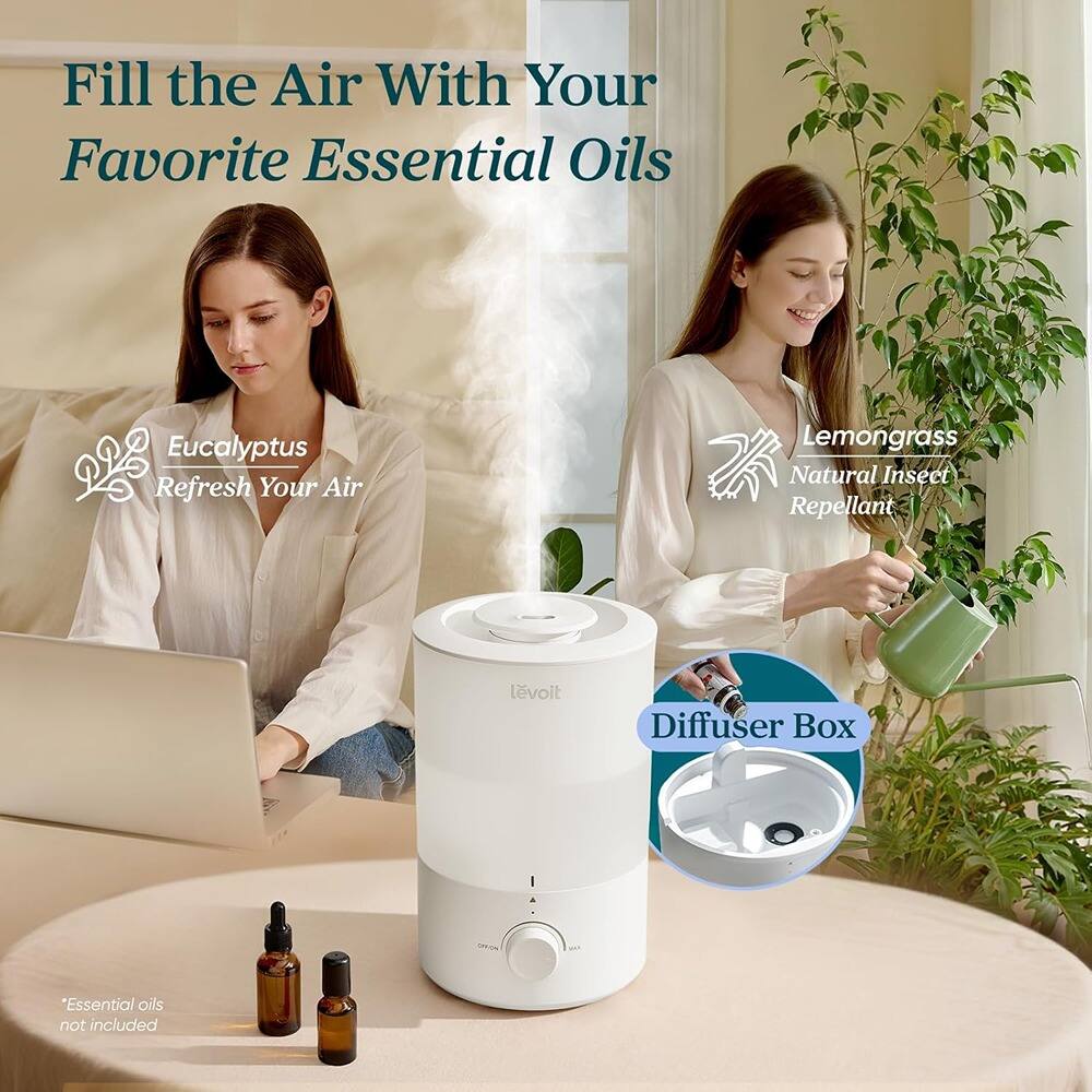 Fill the Air With Your Favorite Essential Oils

Eucalyptus  
Refresh Your Air

Lemongrass  
Natural Insect Repellant

Diffuser Box

*Essential oils not included