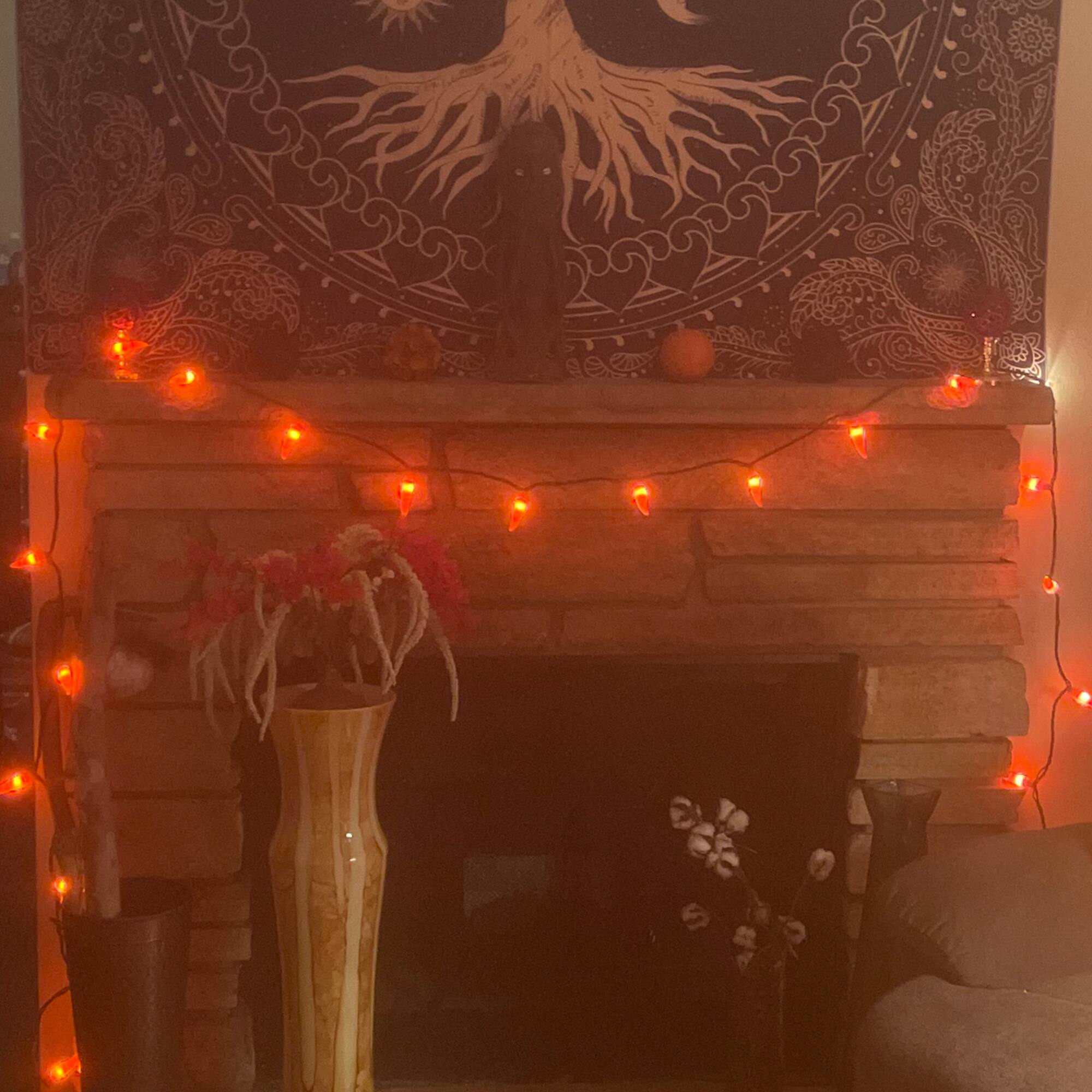 Alt View 3. Northlight - 35-Count Orange Chili Pepper Patio String Light Set, 22.5ft Brown Wire - Orange.