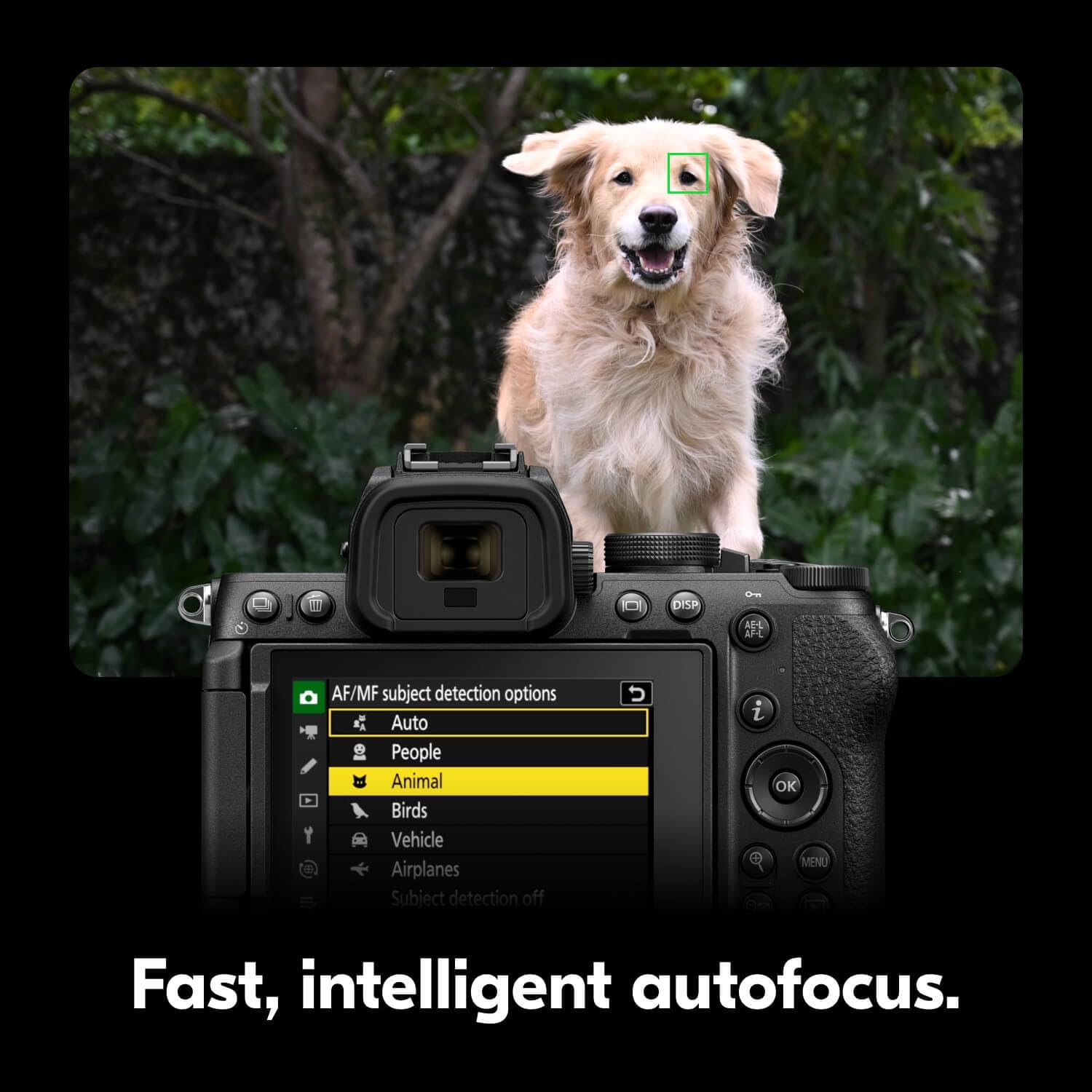 AF/MF subject detection options  
Auto  
People  
Animal  
Birds  
Vehicle  
Airplanes  
Subject detection off  

Fast, intelligent autofocus.