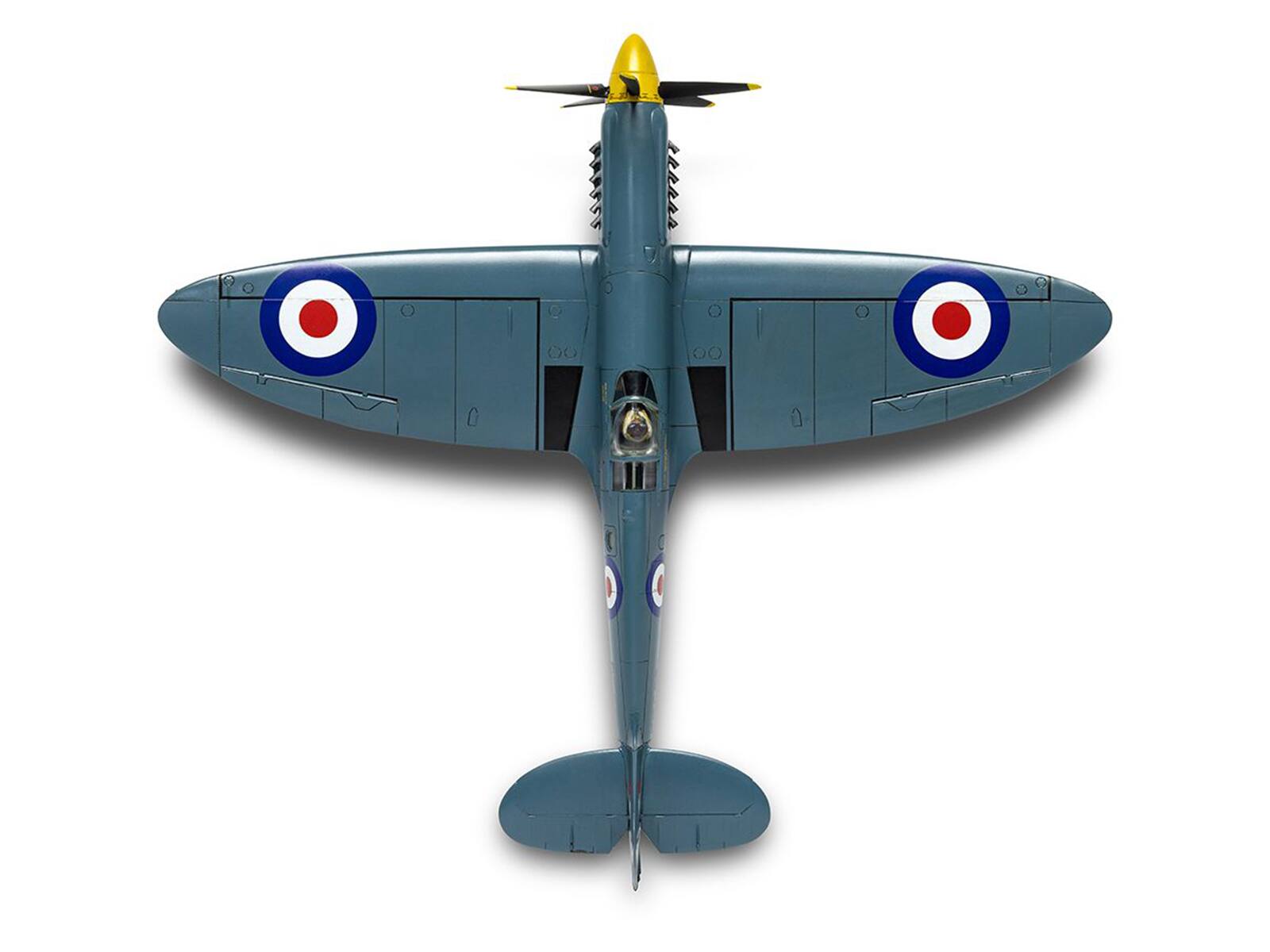 AAPFST 555