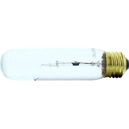 Zephyr - 40W Incandescent Bulb