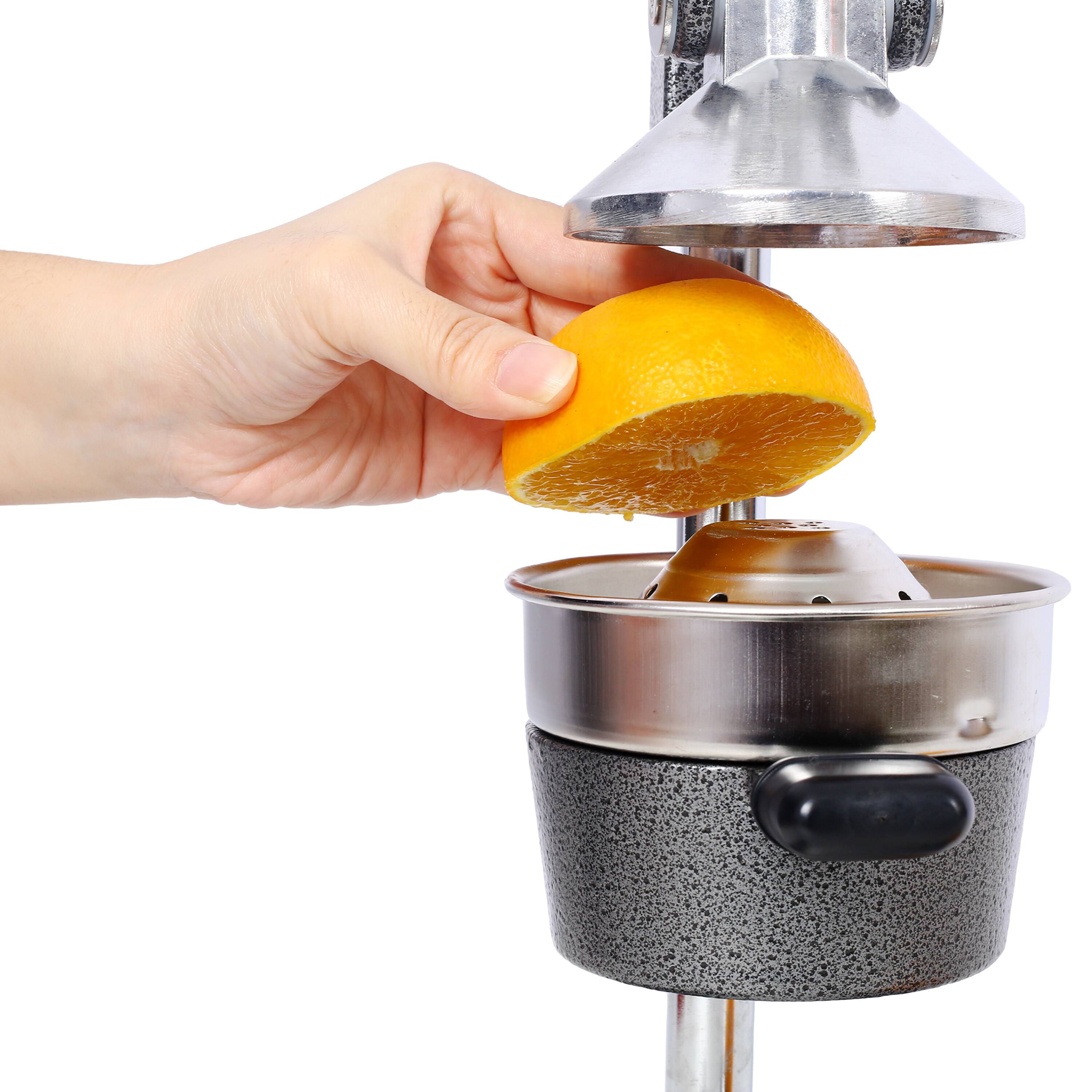 Back. Dexmalle - Dexmalle Professional Cast Iron Citrus Juicer, Manual Hand Press, Heavy Duty, Stainless Steel Cup-Gray - Grey.