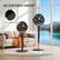 ADJUSTABLE HEIGHT
Adjust the height knob
37in-45in
12in