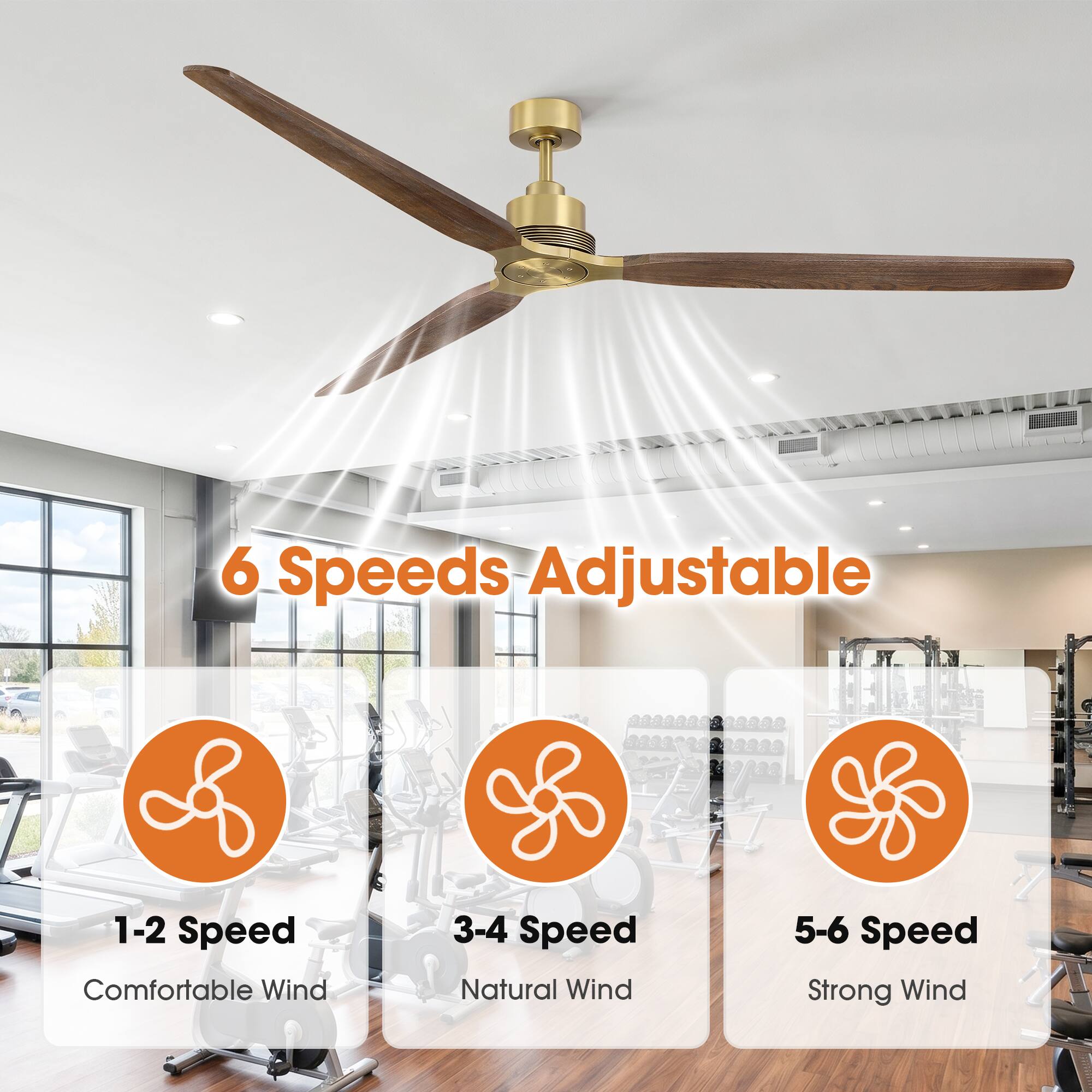 6 Speeds Adjustable  
1-2 Speed: Comfortable Wind  
3-4 Speed: Natural Wind  
5-6 Speed: Strong Wind
